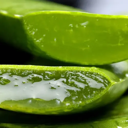 Screenshot of Aloe Vera Fresh