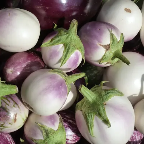 Screenshot of Aubergina White