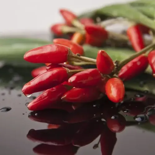 Screenshot of Bird Eye Chilli