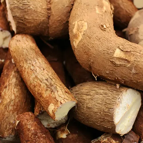 Screenshot of Cassava