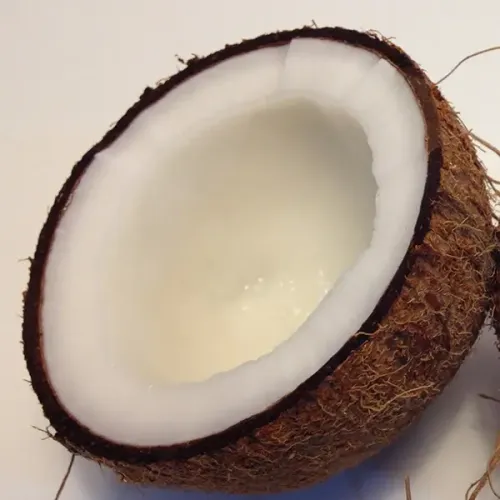 Screenshot of Coconuts