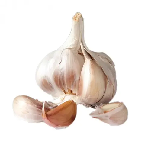 Screenshot of Garlic