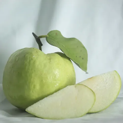 Screenshot of Guava