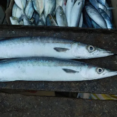 Screenshot of Hake