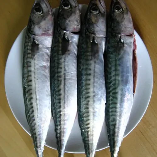 Screenshot of Horse Mackerel