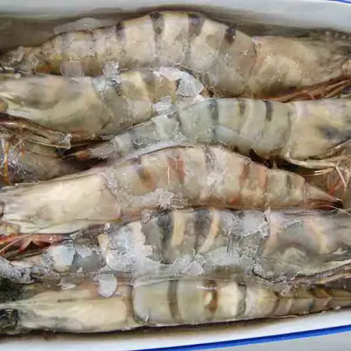 Screenshot of Tiger Prawns